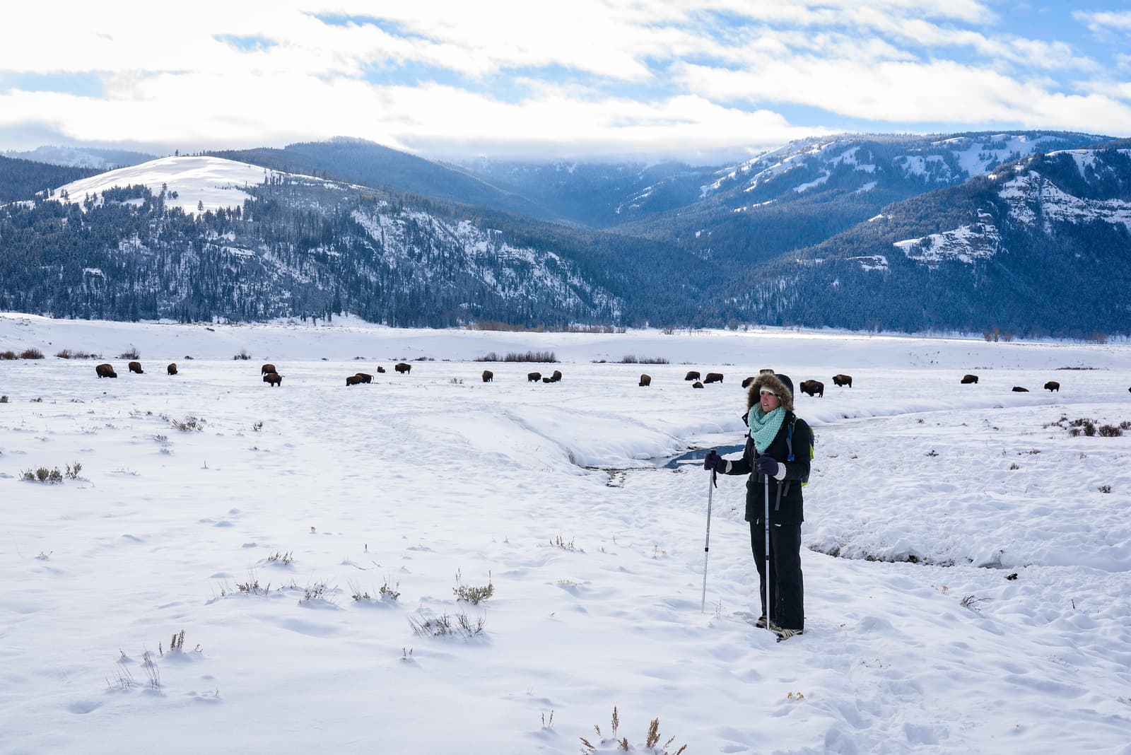 Snowshoeing in Yellowstone