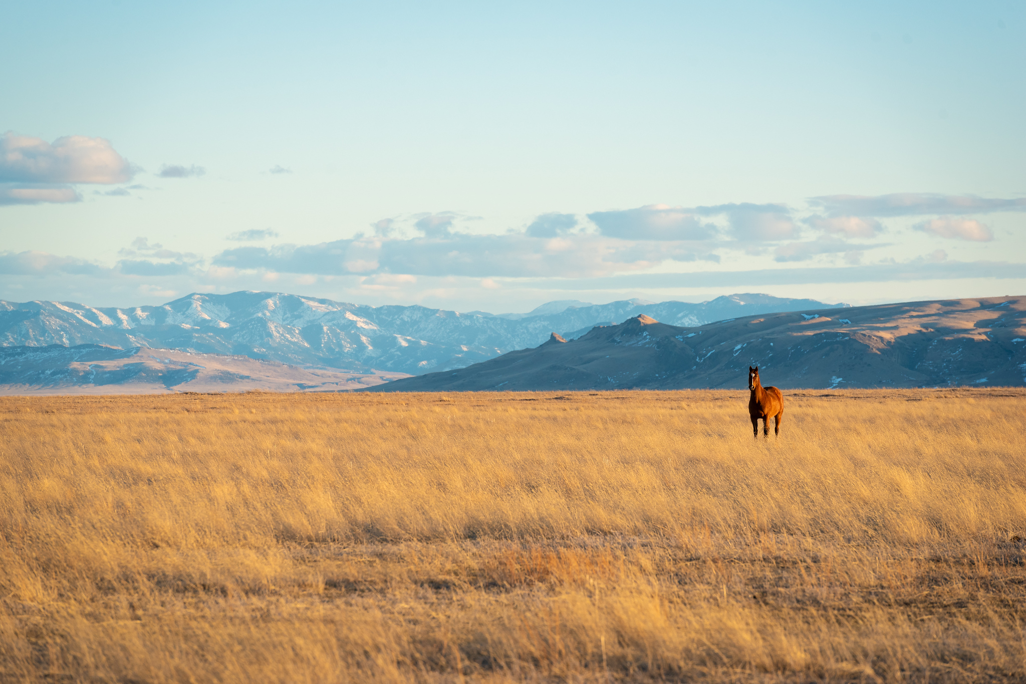 Montana mountain landscape at sunrise